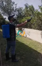 شركة مكافحة حشرات بالطائف